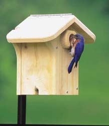 WBU Eastern Bluebird House