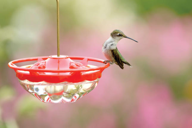 RTHU on mini feeder