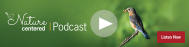 NC Podcast Bugs = Birds 2305N
